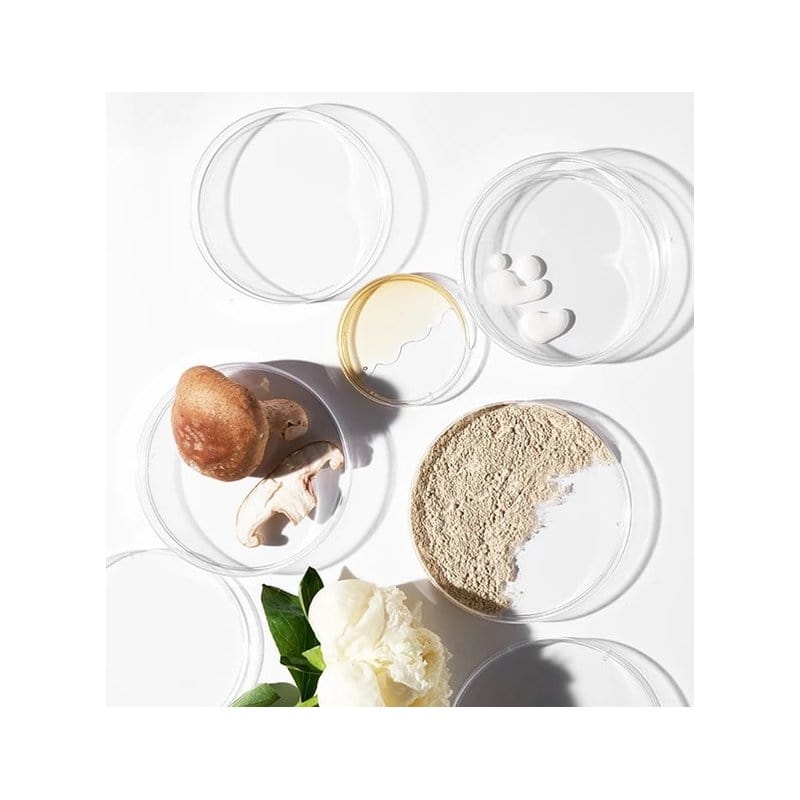 Dermalogica PowerBright Koyu Lekeler İçin Bakım Serumu 30 ml