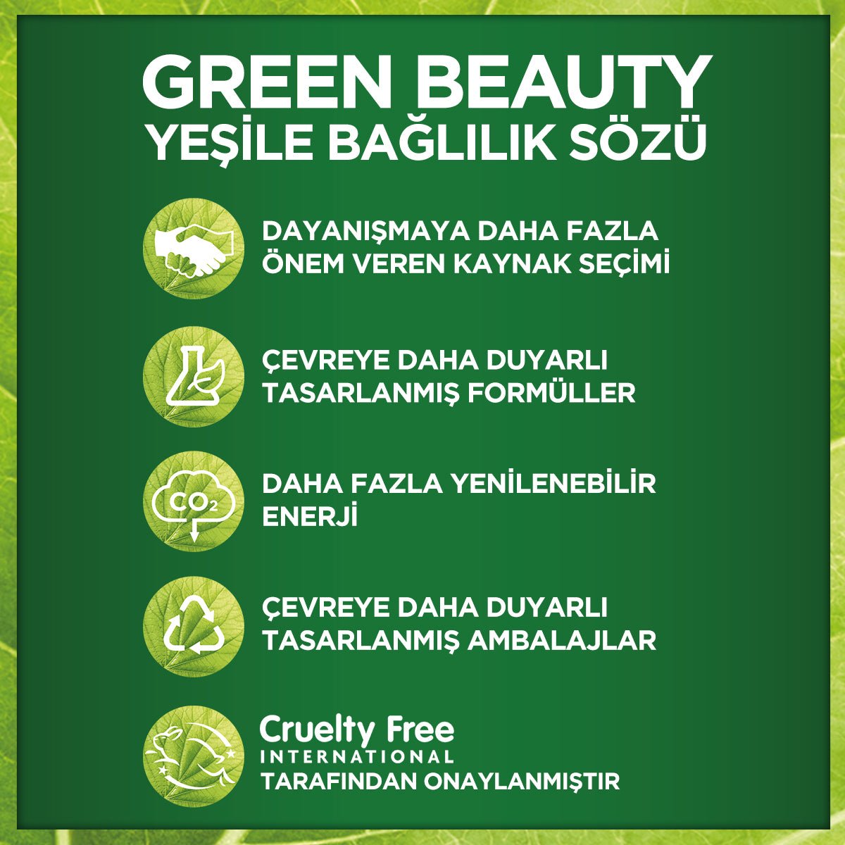 Garnier
AHA + BHA Kömürlü Matlaştırıcı Kağıt Maske