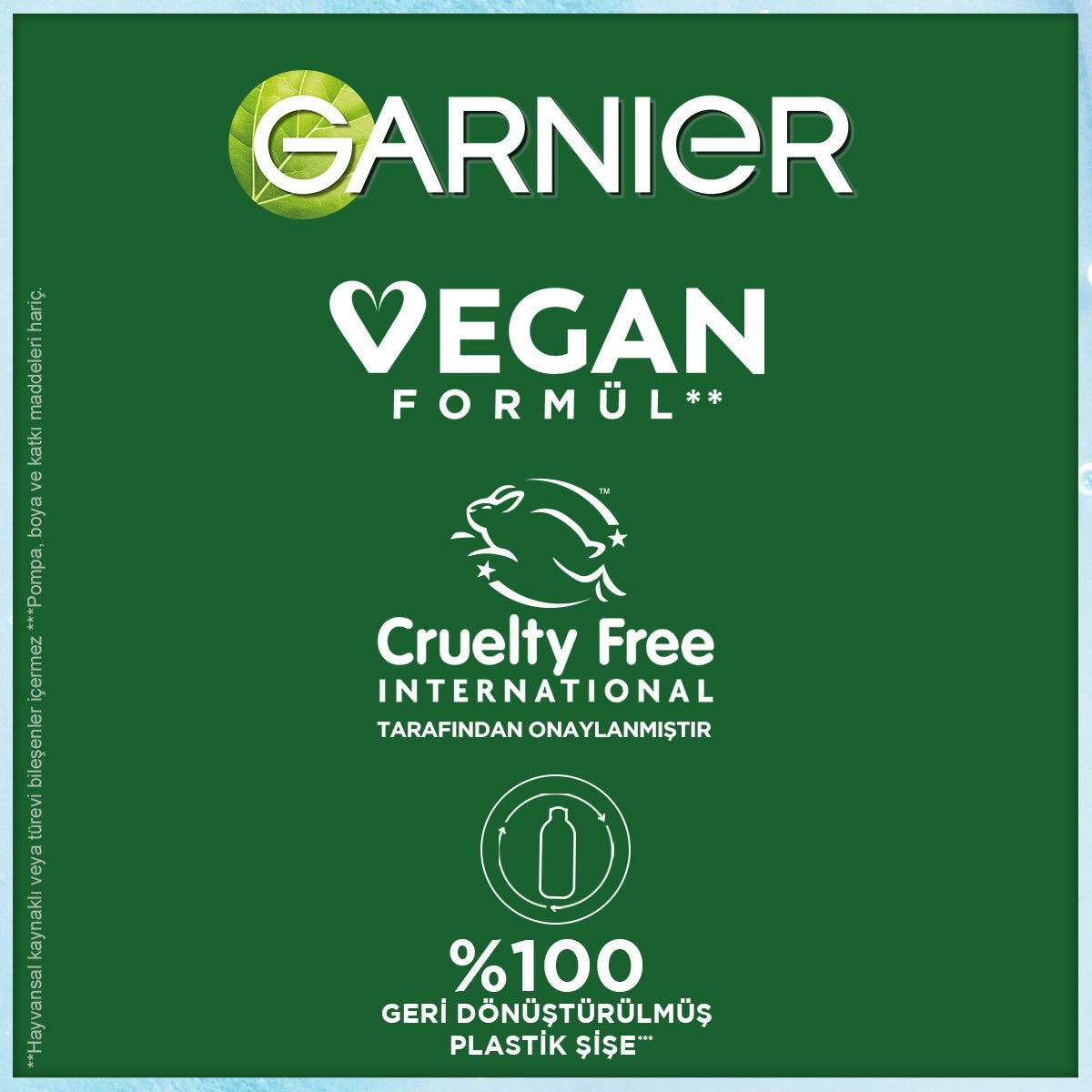 Garnier Saf&Temiz Nemlendiren Temizleyici 250 ml