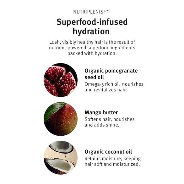 Aveda Nutriplenish Shampoo Deep Moisture 250 ml &amp;  Nutriplenish Deep Moisture Conditioner 250 ml