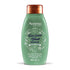 Aveeno Fresh Greens Blend Şampuan 354 ml