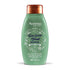 Aveeno Fresh Greens Blend Shampoo 354ml