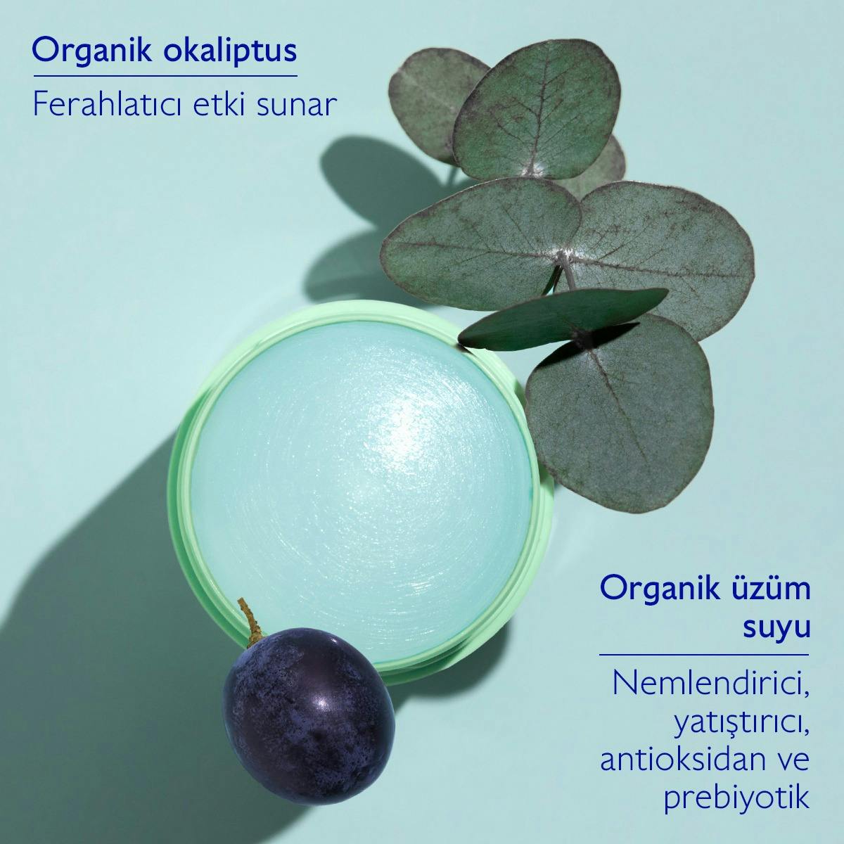 Caudalie Vinofresh Doğal Stick Deodorant 50 gr