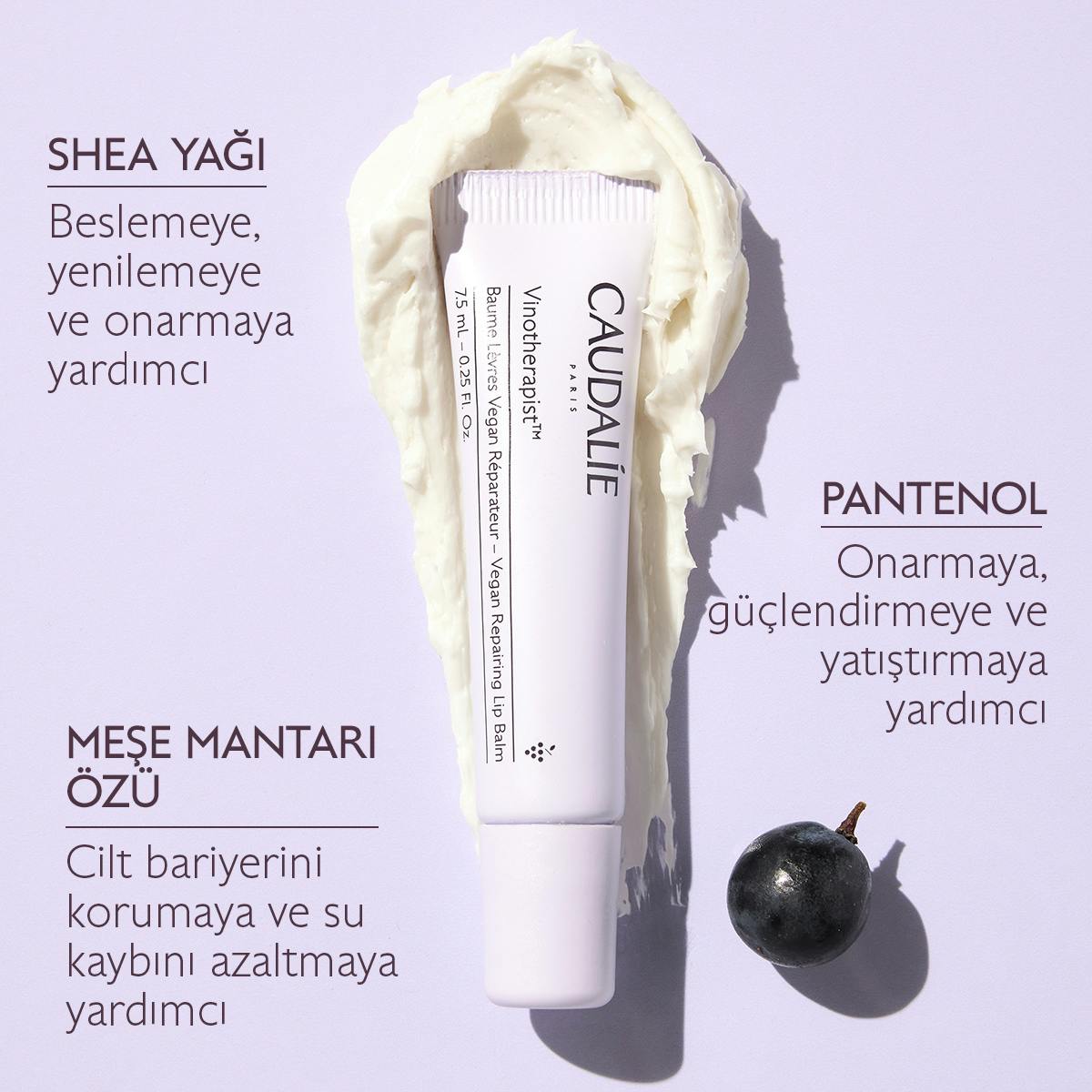 Caudalie Vinotherapist Vegan Dudak Balsamı 7,5 ml