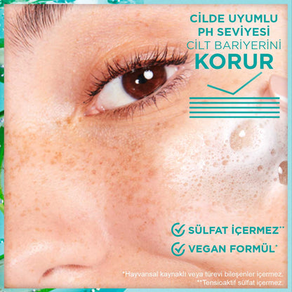 Garnier Hyaluronik Aloe Nemlendiren ve Yatıştıran Temizleyici 250 ml
