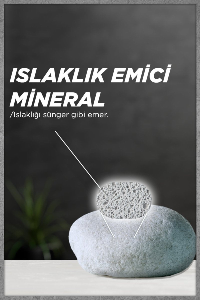 Garnier Men Lekesiz Koruma Spray Deodorant