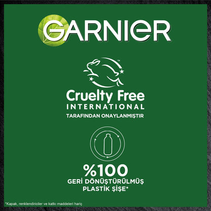 Garnier Micellar Kömür Kusursuz Makyaj Temizleyici Jel 400 ml