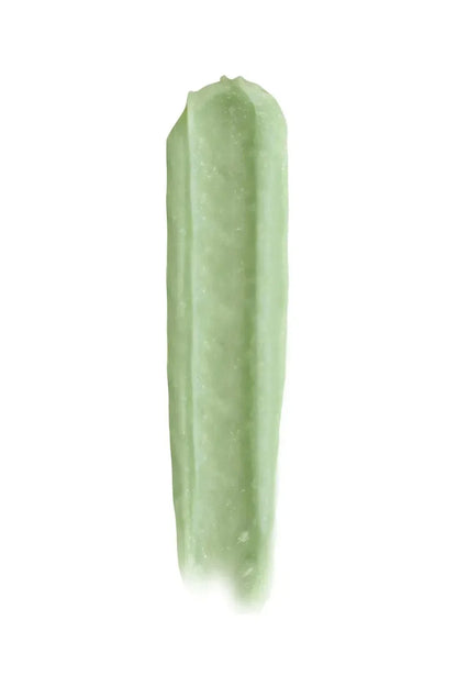 Pastel Pastellab. Lip Renewal Fresh Mint Scrub 4.5g -2 Pack