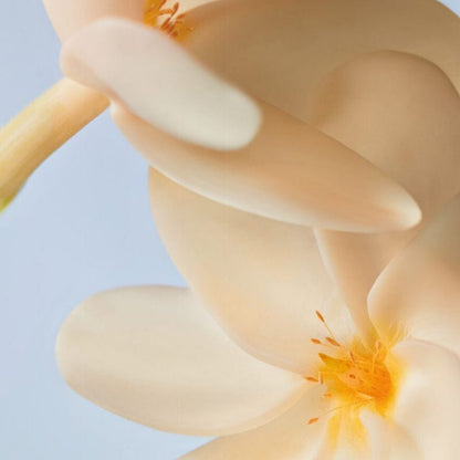 Yves Rocher Monoi Hair and Body Shampoo 400 ml